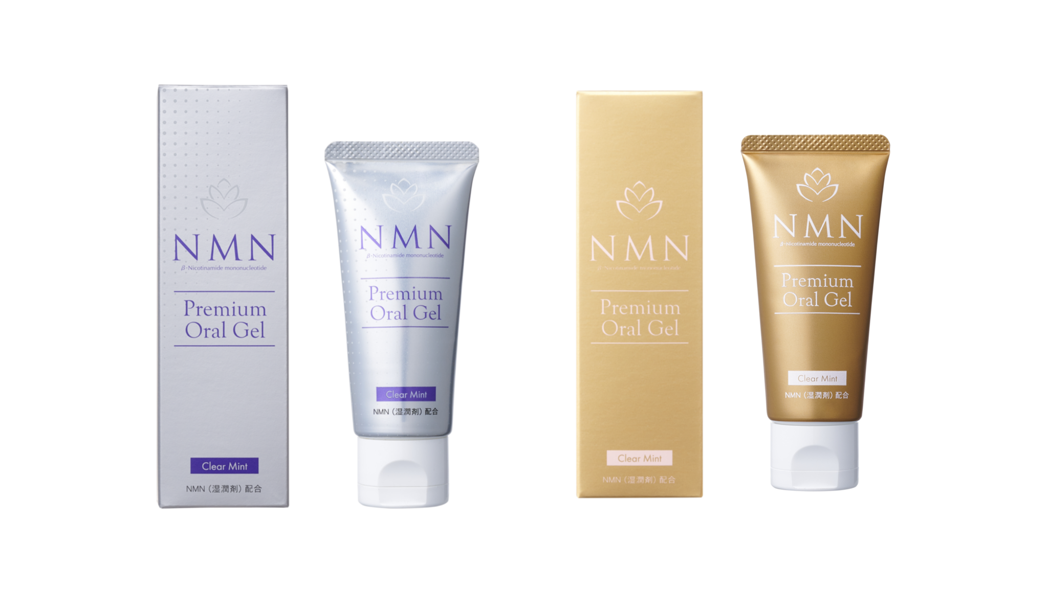 The First Step to Good Health! 2 Allies for an Improved Oral Health